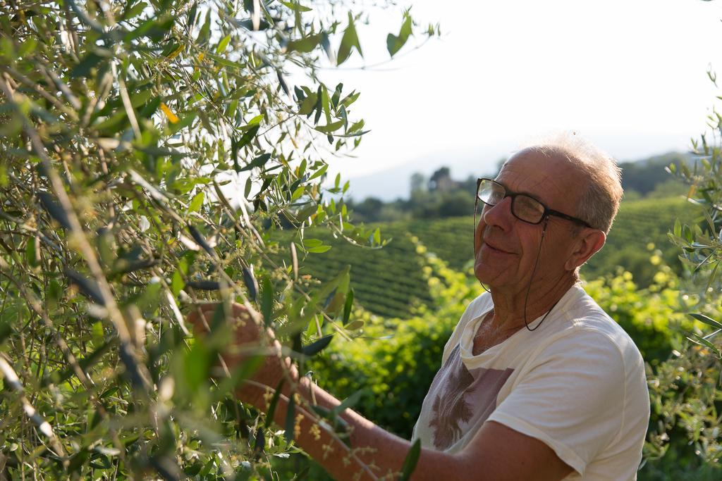 Villa Prosecco Tarzo Buitenkant foto